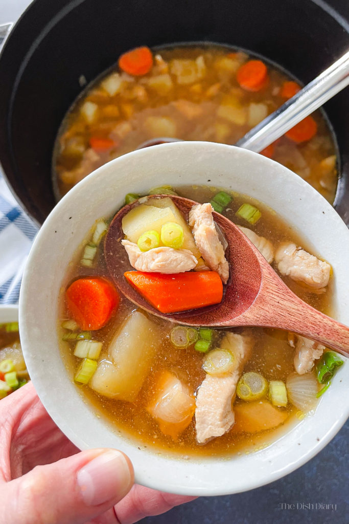 Japanese Chicken Stew (Tori Nikujaga)