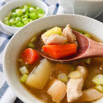 Japanese Chicken Stew (Tori Nikujaga)