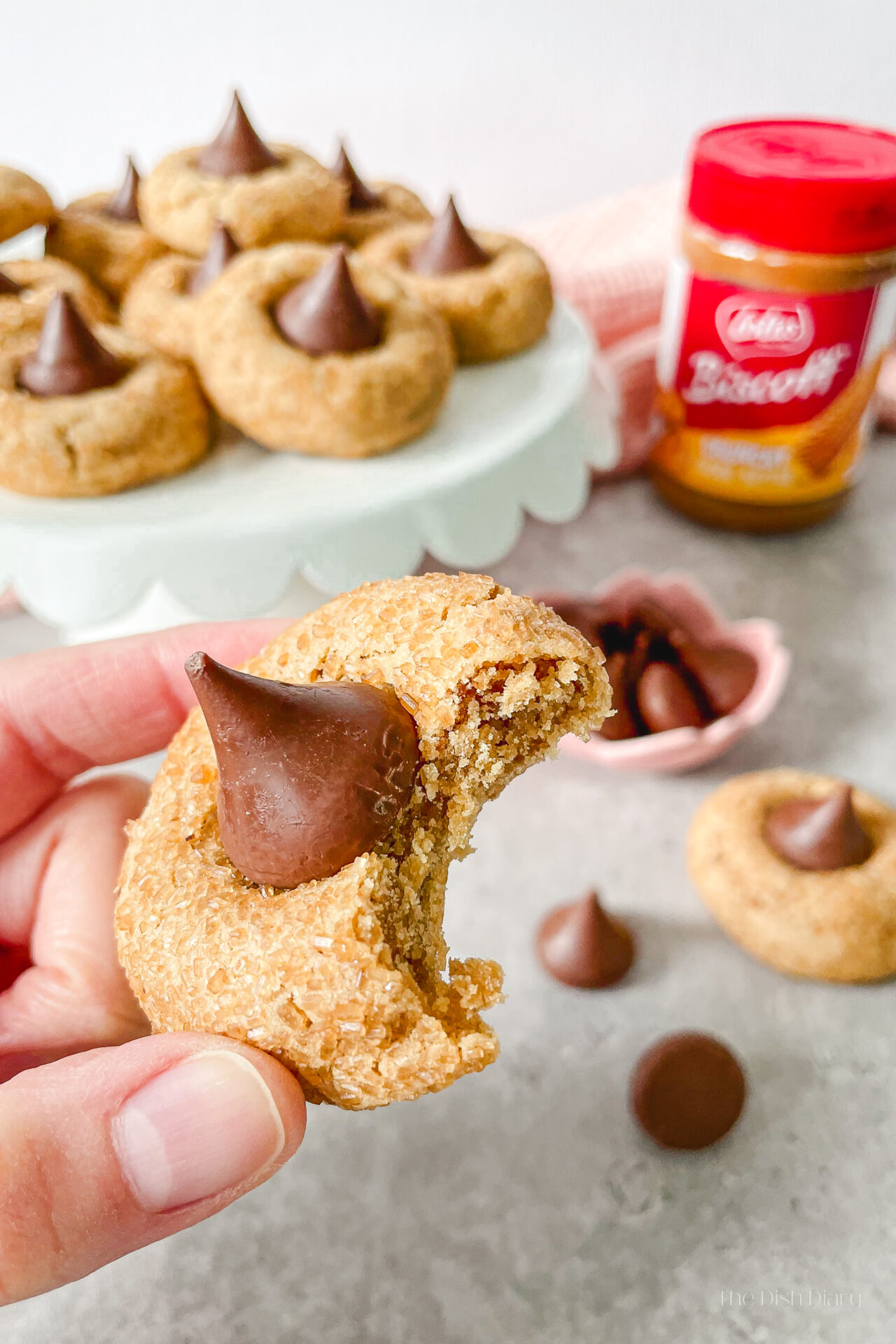 Speculoos Brown Sugar Blossoms