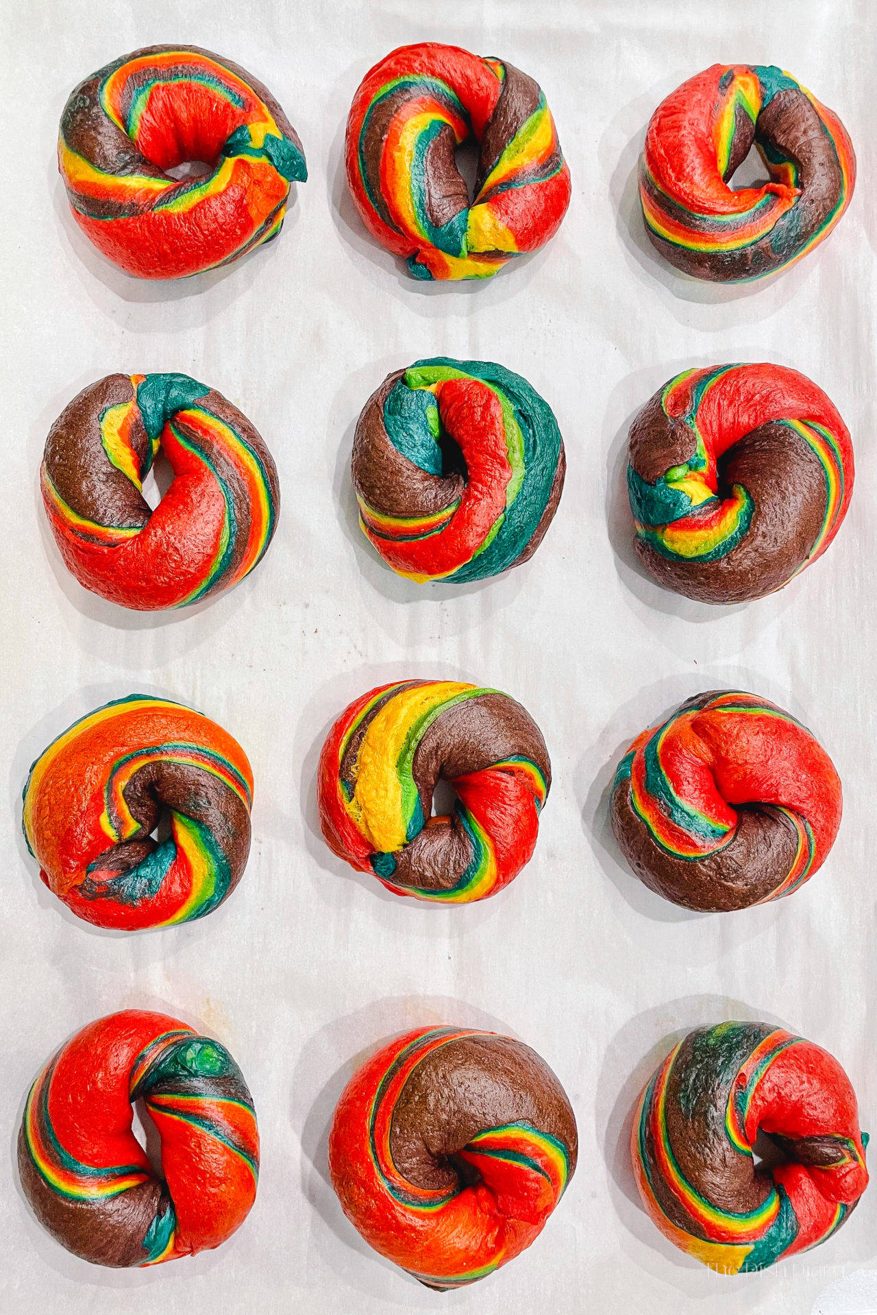 FarmSteady Rainbow Bagel Kit