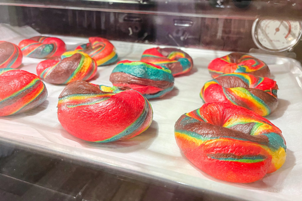 FarmSteady Rainbow Bagel Kit