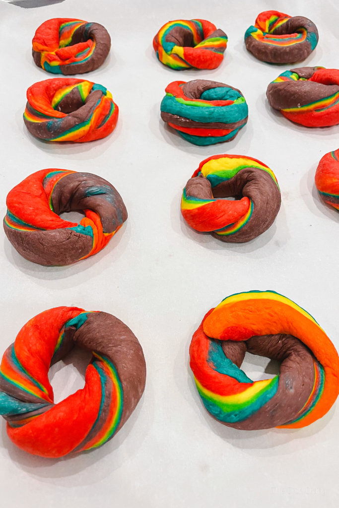 FarmSteady Rainbow Bagel Kit