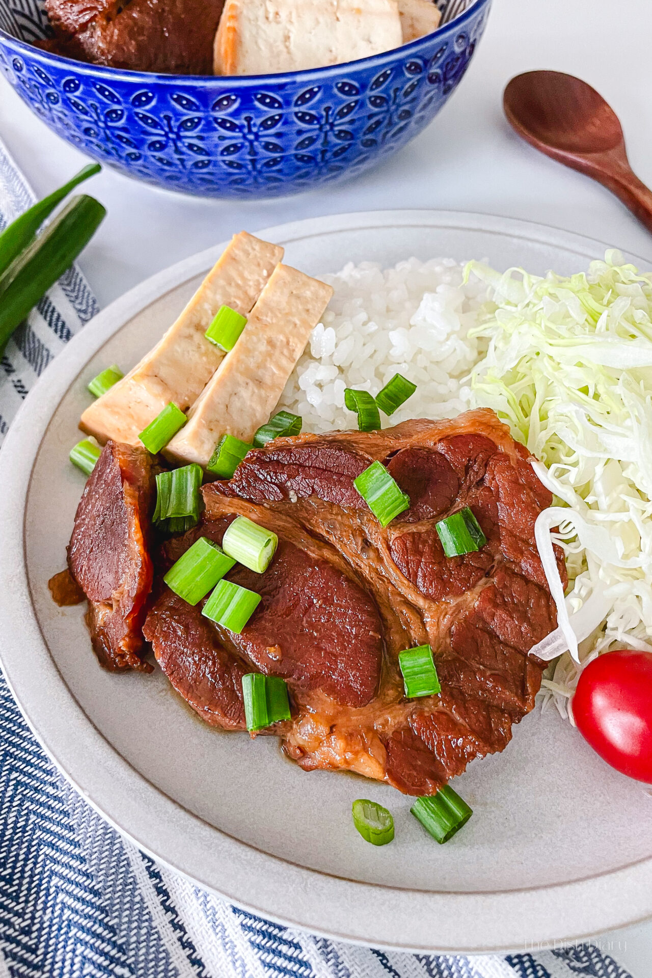 Soy Sauce Pork and Tofu