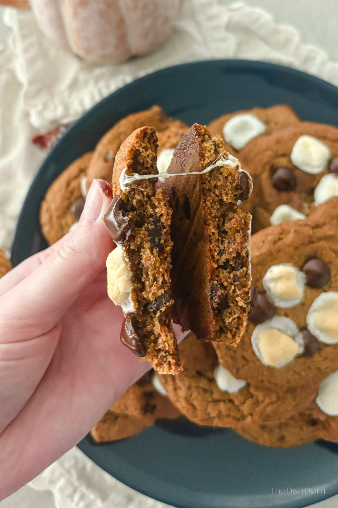 Pumpkin S'more Cookies