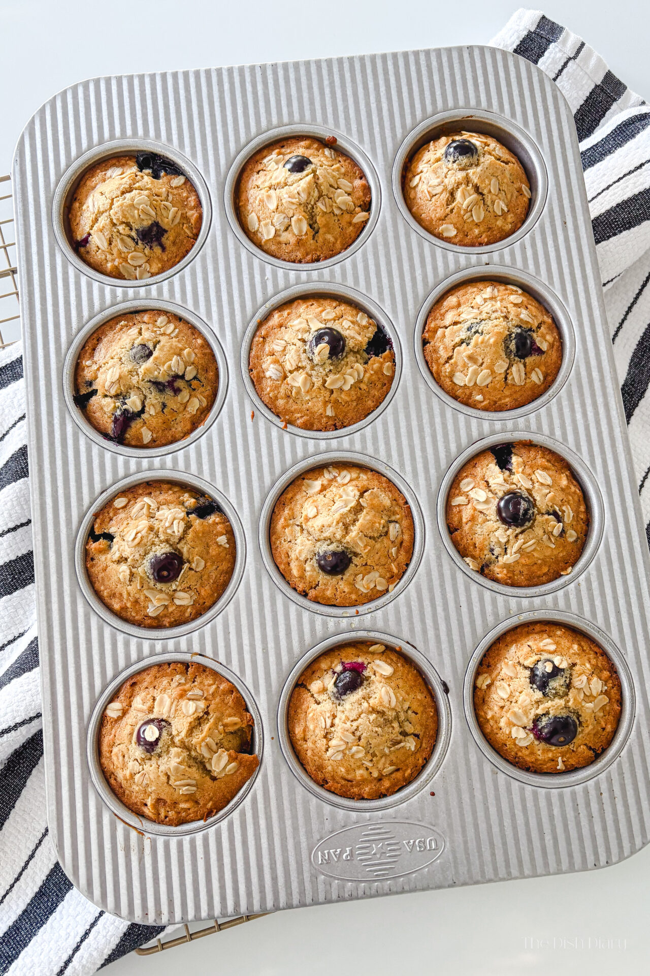 Blueberry Oatmeal Muffins